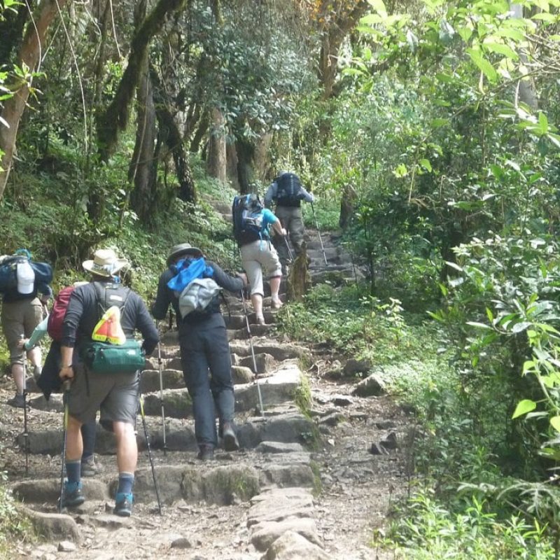 hiking-inca-trail-940x705-min